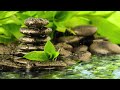 Relax & Find Peace in this Rainy Zen Garden | Stress Anxiety | Sleep | Ambient