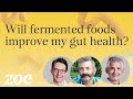 Will fermented foods improve my gut health? | Sandor Katz and Professor Tim Spector