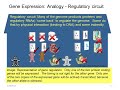 A Guide to NCBI: Gene Expression, Part 1