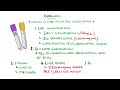 Understanding Wilson's Disease (Hepatolenticular Degeneration)