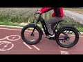 Saneagle Electric Bike Series |ZNH-E-2304  Feeling the powerful of the fat tire bike