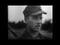 The Falaise Pocket 1944: The Mission To Free Paris | Battlefield | War Stories