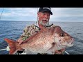 LEARN These Simple Snapper Catching Tricks! (Easily Double Your Catches!)