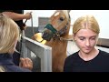 A VISIT TO THE GALLOPS, WATER TREADMILL AND DENTIST FOR PANDA, POPCORN AND ROLO