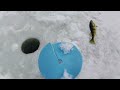 2022 Ice Fishing with Finicky Foolers