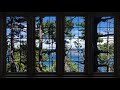 4K Forest window view - Relaxing, Calming, Ambience