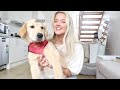 [PUPPY VLOG] Weekend in the life of my GOLDEN RETRIEVER! 🐾🥺