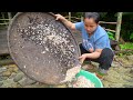 Dwarf Family Sets Fish Traps - Harvests Bell Peppers To Goes To Market Sell.