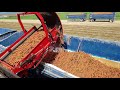 Carrot harvesting | SP-400CFH