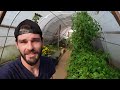 Man Heats DIY CHEAP Greenhouse All Winter For FREE Using These 4 Methods!