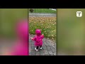 Toddler Runs To Greet Sister Off School Bus Every Day