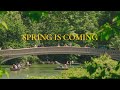 [playlist] Please listen to this song in sunny spring.