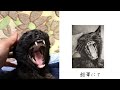 大人女子たちの休日〜くろとき〜#シニア猫 #ハチワレ猫 #黒猫#デッサン