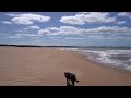 TV for Dogs - Beach Walking and Virtual Entertainment for Dogs (20 Hours)