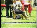 How to Evaluate the German Shepherd Dog in the Show Ring - Part 2 of 2