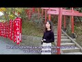 Guide to『Tsurugaoka Hachiman-gū Shrine』📍Kamakura, Japan (for tourists) ⎹ by rena