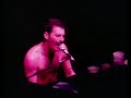 Queen - Live in Vienna 1982/05/12 [2017 Chief Mouse Restoration]