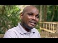 Nigerians Fight to Protect the World's Most Trafficked Mammal | National Geographic