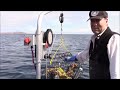 Crabbing with the HD923 in the Strait of Juan de Fuca