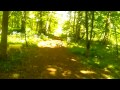 Blue-bells in Stanmer Woods 2015