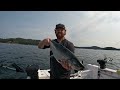 Vancouver Island Salmon Fishing | Chinook + Coho