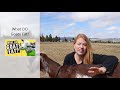 What you need ready for your first goat | Prepare for Goats! | New Goat Owner Supplies | Goat Care