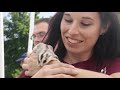 Invasive Species of Florida - Documentary [HD]