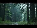 Relaxing Music with Rain Forest Sounds for Deep Sleep | Stress Relief | Meditation or Study