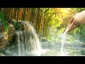 Relaxing Sleep Music: Meditation Music, Stress Relief, Heals The Mind, Bamboo, Nature Sounds