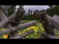Watch a Breathtaking Time-Lapse of Grand Teton National Park | Short Film Showcase