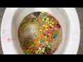 Best of Will it Flush? - Lots of Food