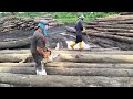 log cutting process