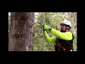 Using a figure 8 for descending the tree - WesSpur's Niceguydave demonstrates a classic tool