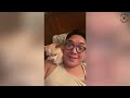 A Chihuahua's Journey with a Grieving Father