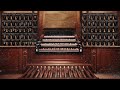 What Child Is This - Organ solo - Bovenkerk Hinsz Organ