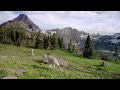 Baby Mountain Goat Braves Rapids | North America