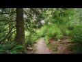 4K Virtual Hike through May Creek Park, Newcastle - Forest Walk on a Sunny Day + Forest Birds Songs
