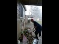 Cleaning Your Garden B4 The Winter Frost.