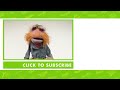 Can You Picture That? | Dr. Teeth and The Electric Mayhem | Muppet Sing Along