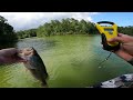 Fishing a Duck Lure for Pond MONSTERS!