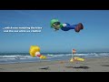 Mario Day with kites