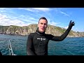 Devon Coast Boat Spearfishing Adventure Catch and Cook