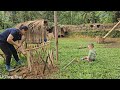 Single mother: son is sick - make a luffa trellis - cooking