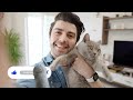 20 Signs Your Cat Is Happy and Healthy!