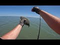 Wade Fishing for Chesapeake Bay Summer Flounder