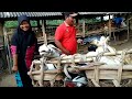 Jual Bibitan Kambing Babon Anak Satu  Laku 3400 Langsung Antar