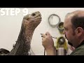Ten Steps of Tortoise Taxidermy with Lonesome George