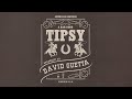 Shaboozey, David Guetta - A Bar Song (Tipsy) [Remix] (Official Visualizer)