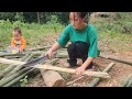 full video: 35 days a single mother quickly built the house and harvested bananas to earn money