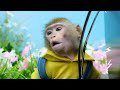 KiKi Monkey escapes Awesome Maze Challenge and eat colorful ice cream | KUDO ANIMAL KIKI